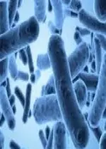 Le microbiote intestinal, un atout pour notre santé