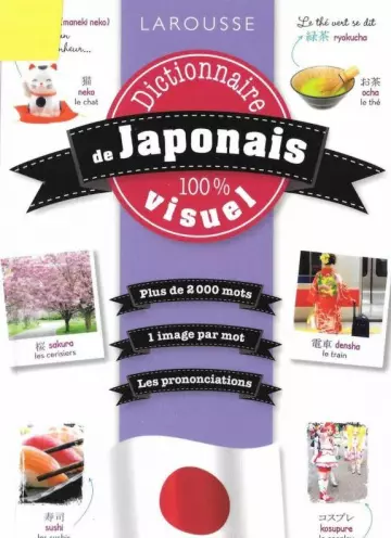 Dictionnaire de japonais 100% visuel