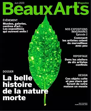 Beaux Arts Magazine N°431 – Juin 2020