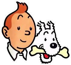 Tintin - Intégrale 24 Albums