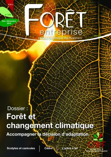 Forêt Entreprise - Novembre-Décembre 2019