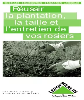 Réussir la plantation, la taille et l’entretien de vos rosiers