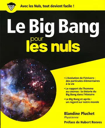 Le Big Bang pour les Nuls EPUB