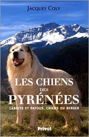 Les chiens des Pyrénées