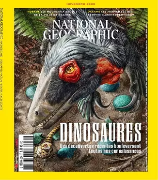 National Geographic N°254 – Novembre 2020