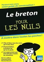 LE BRETON POUR LES NULS
