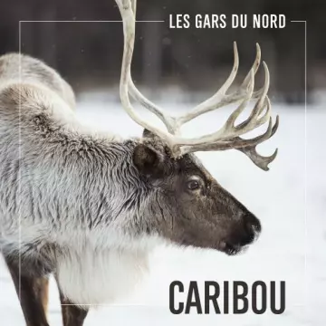 Les Gars du Nord - Caribou