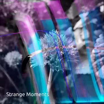 Strange Moments - Strange Moments